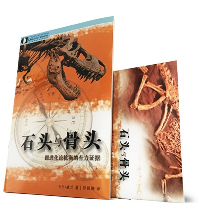 《石头与骨头》
